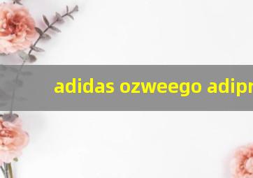 adidas ozweego adiprene